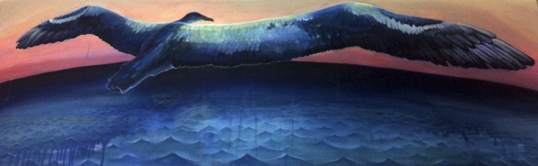 The albatross